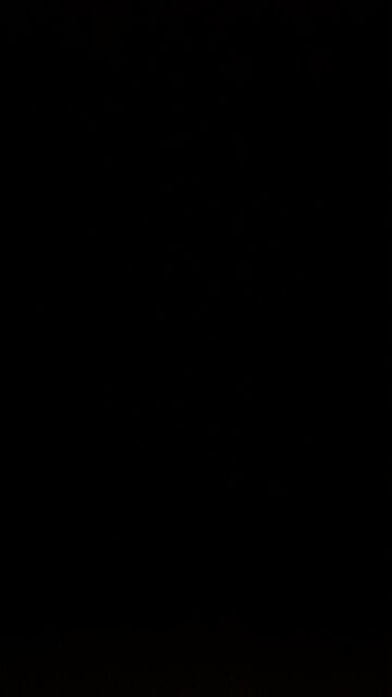 Rainbow Bridge Attack 11/22 33 Freemason hoax code