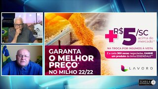 Lavoro oferece barter para milho com bônus de R$ 5 por saca acima do preço em MT e RO