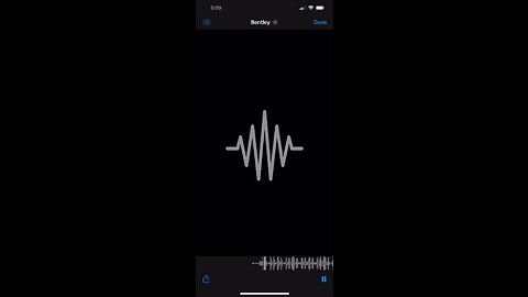 Bliss Media Productions