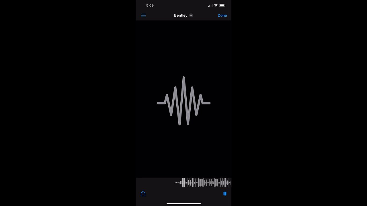 Bliss Media Productions