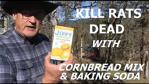 KILL RATS DEAD WITH CORNBREAD MIX & BAKING SODA