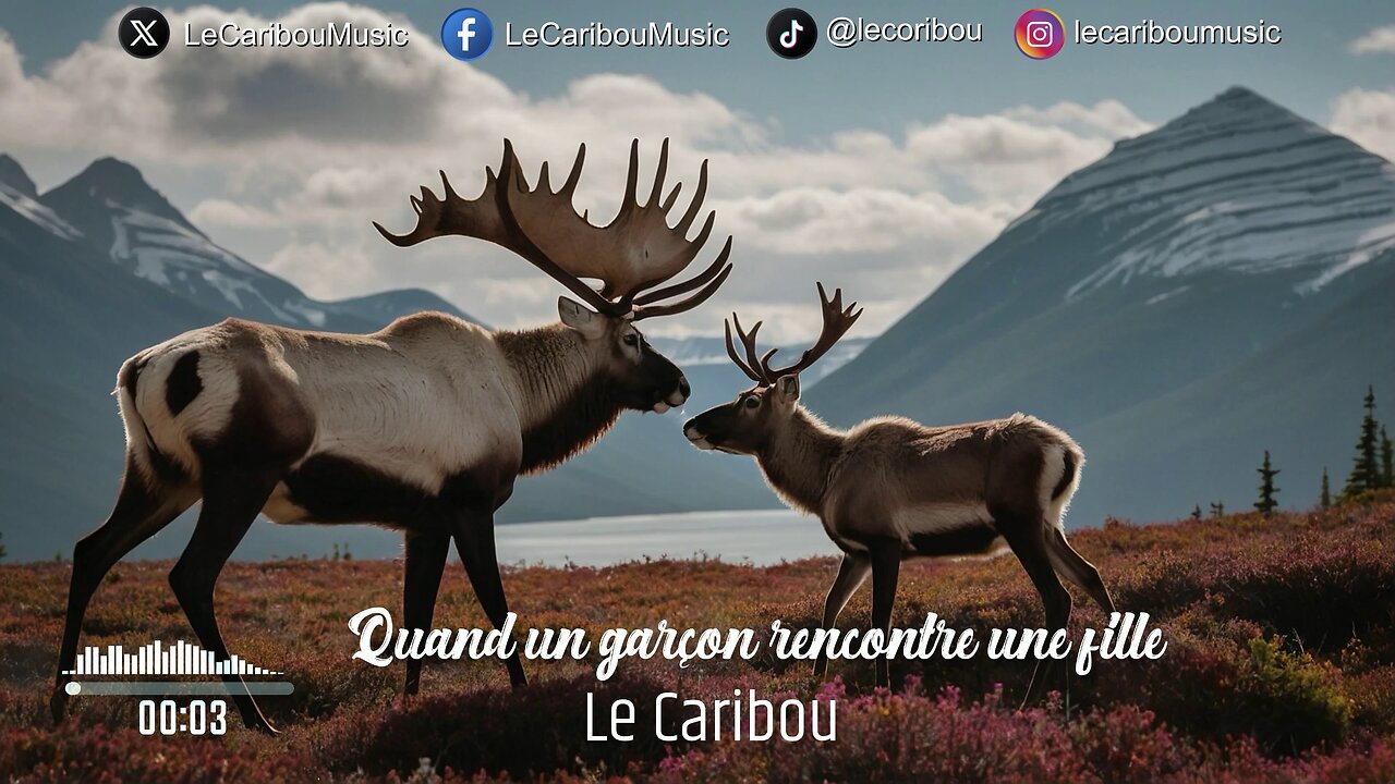 Le Caribou - Quand un garçon rencontre une fille