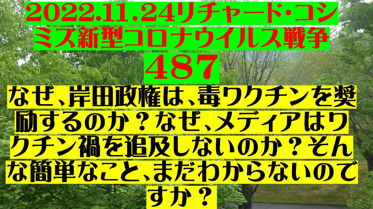 2022.１１．24リチャード・コシ ミズ新型コロナウイルス戦争 ４８7