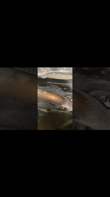 #shorts #2022 funny,prank,funjokes,dad jokes,funny memes,funny video,fun,laughing,funny animal,knock