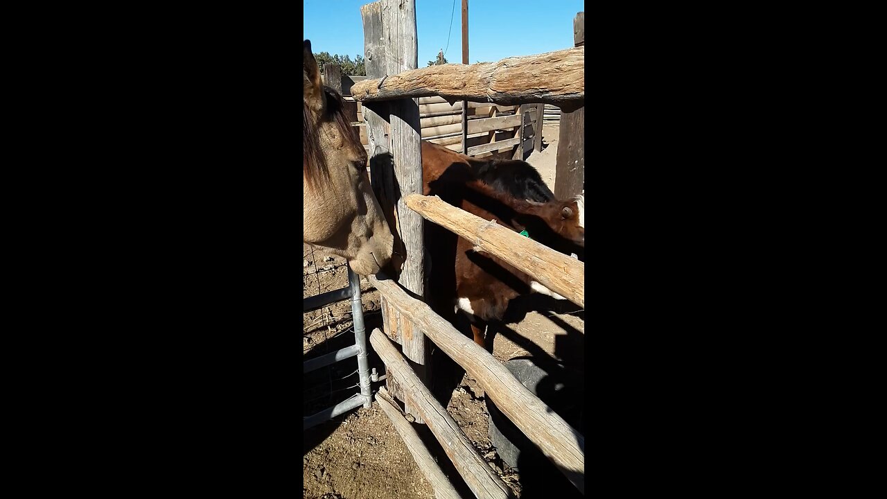 Luna gets some visitors