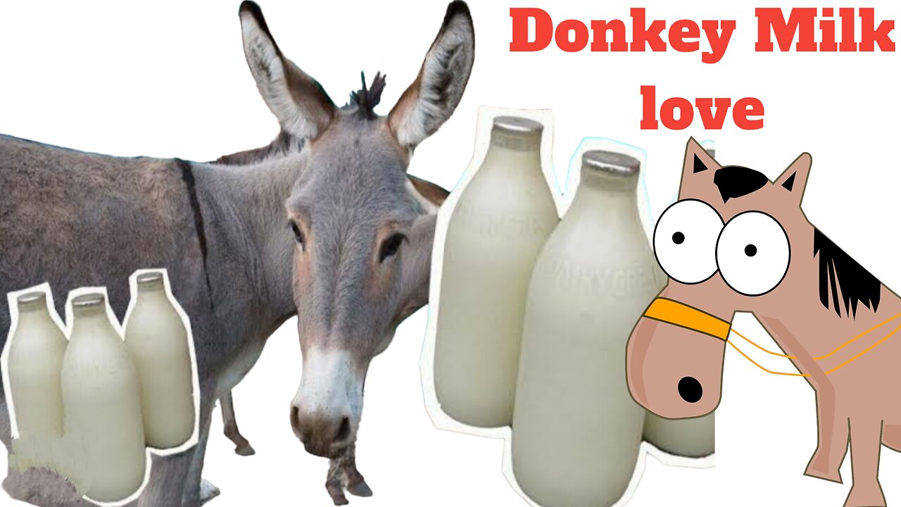 Donkey Milk Love from India, Tamilnadu