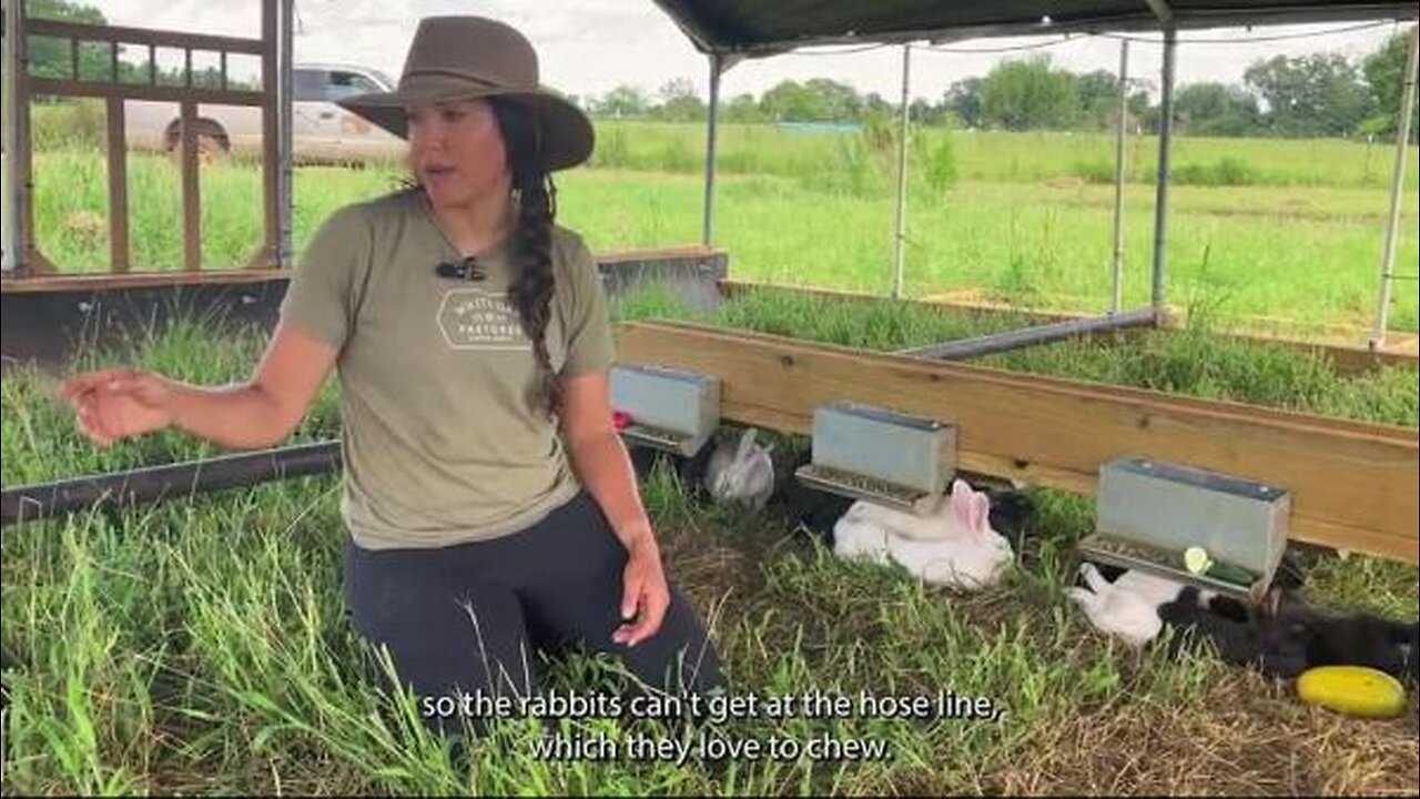 1B-DayOnTheFarm-Rabbits.mp4