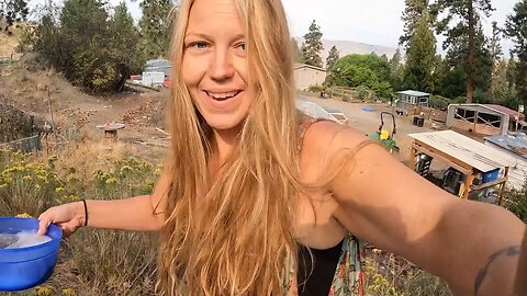 Her Day On The Homestead.