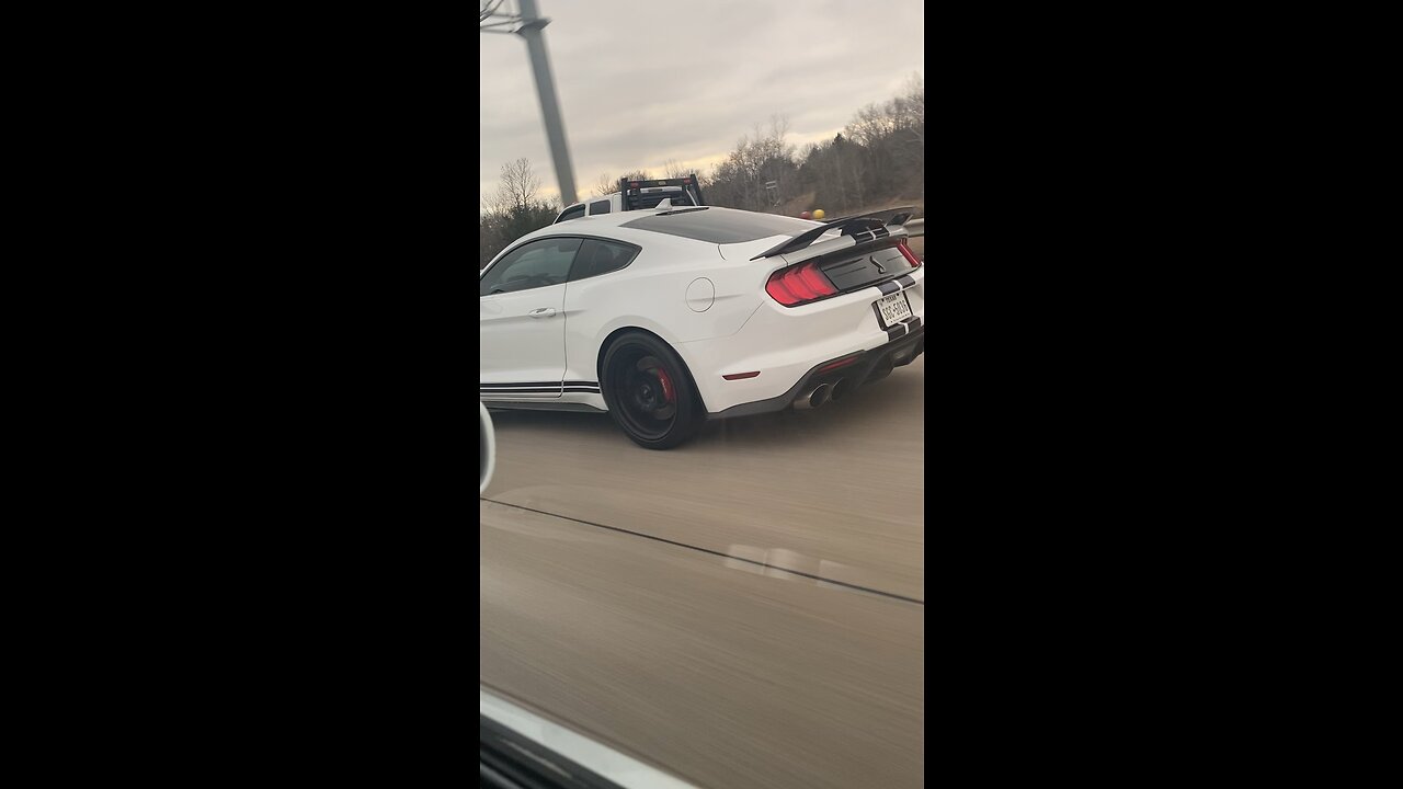 MUSTANG COBRA ON HIGHWAY IN DALLAS TEXAS