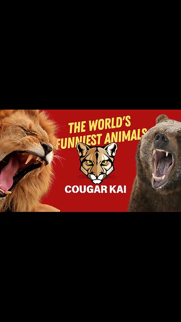 Cougar Kai: Cat Self Defense Class