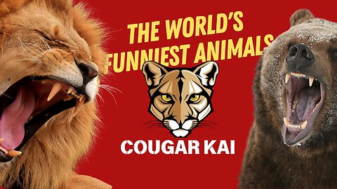 Cougar Kai: Cat Self Defense Class