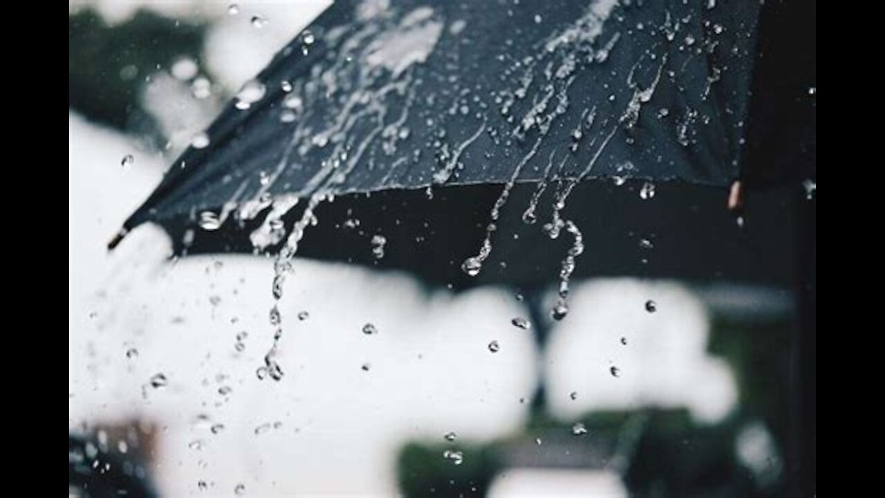 Creedence Clearwater Revival - Have You Ever Seen The Rain