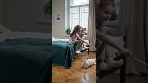 Kids Playing With Cute Cat