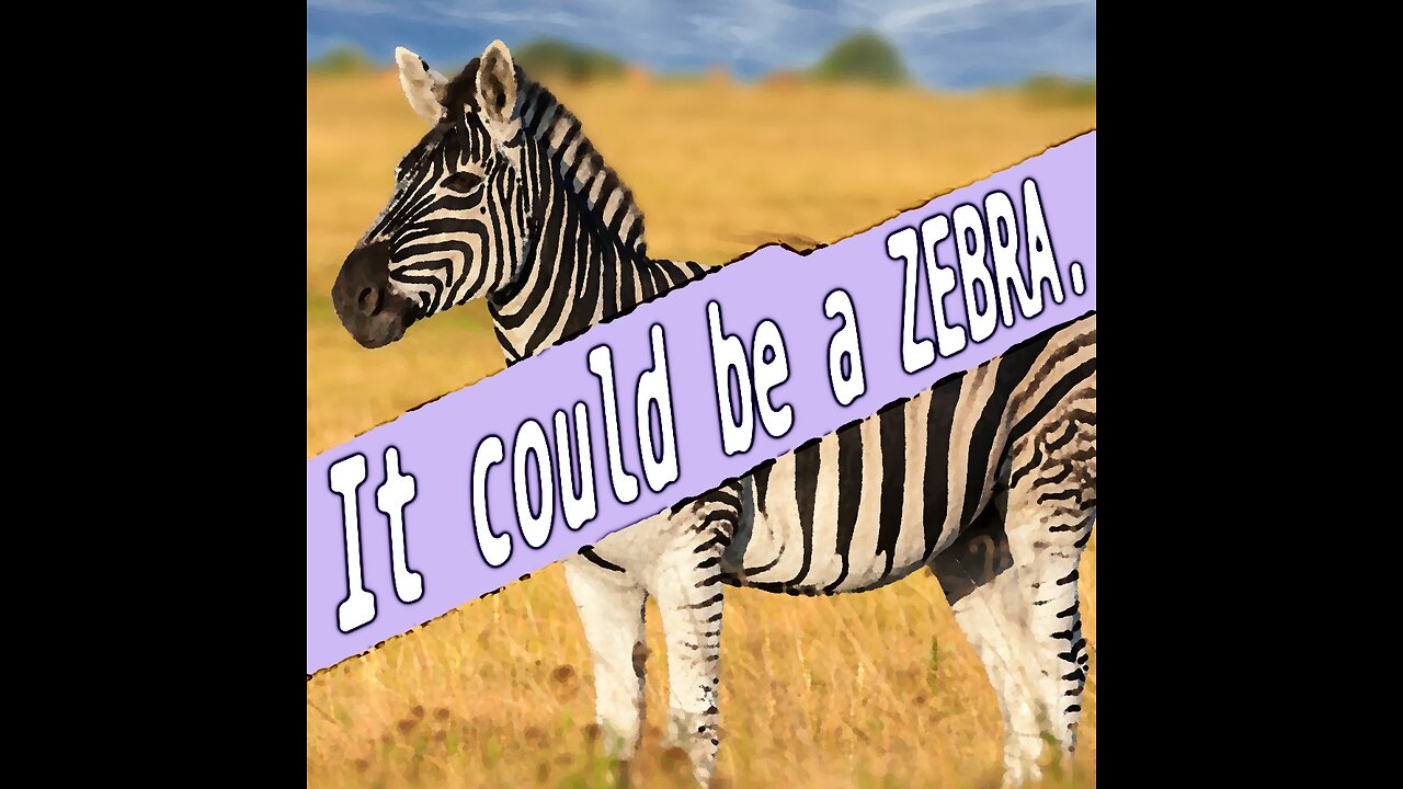 It could be a zebra ...