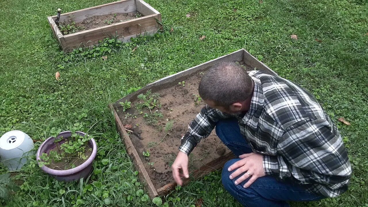 Farm To Table At The Homestead Appalachian Mountain Homestead