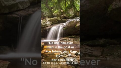 Live In the Now