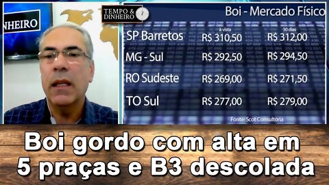 Boi começa segundo semestre com alta em 5 praças e B3 descolada