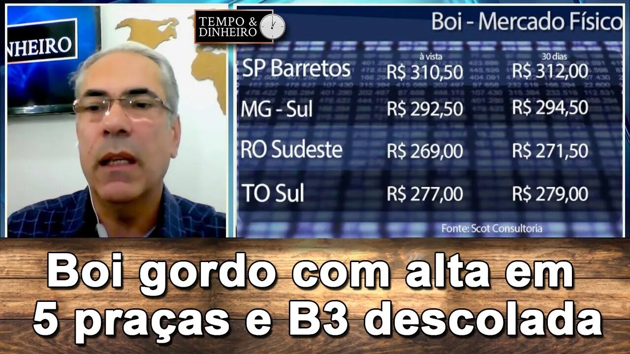 Boi começa segundo semestre com alta em 5 praças e B3 descolada