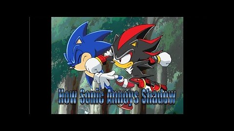 How Sonic Annoys Shadow - LiseMiniParody