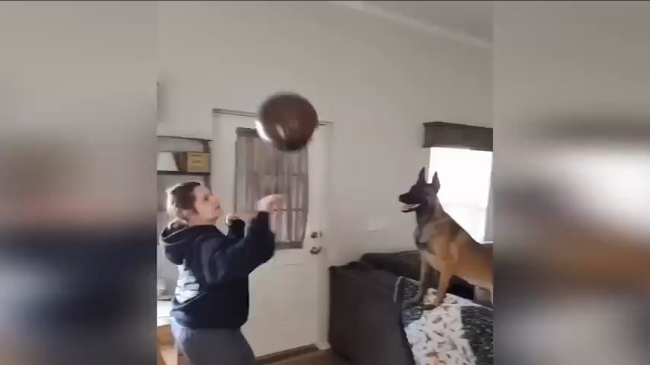 😂