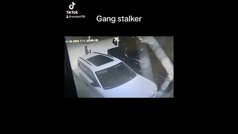 Targeted individual
