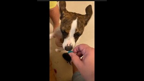 Playing Funables Tic-tac-toe