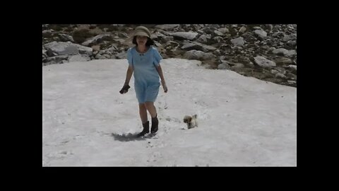 Climate Under Pressure