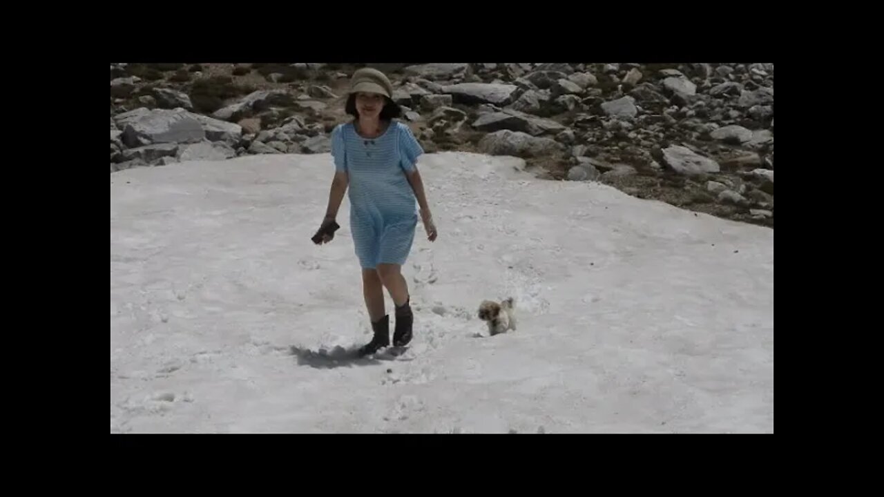 Climate Under Pressure