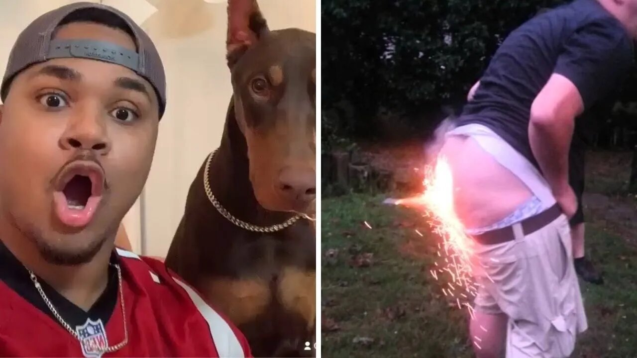 When Your Dog Throws You Over Fire Crackers😂| Rebellious Dogs| Paws Affliction