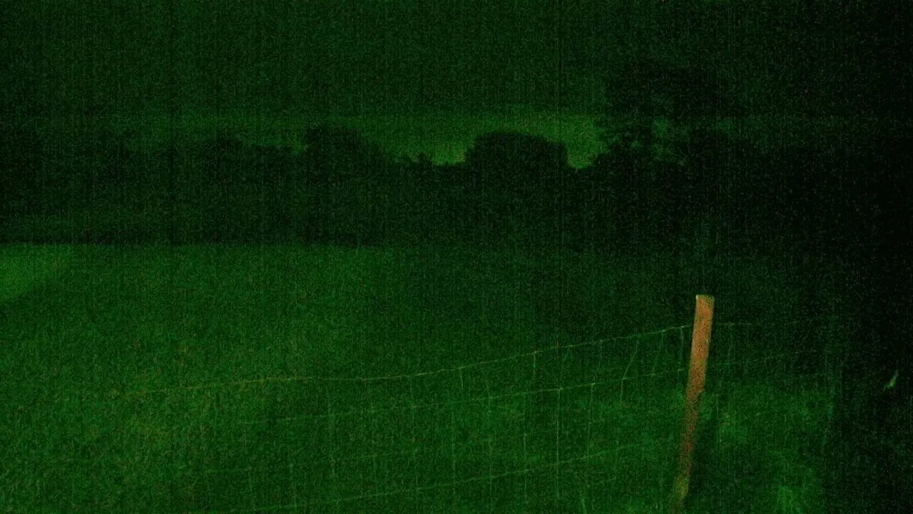 Night Vision Live Webcam Coyote Watch