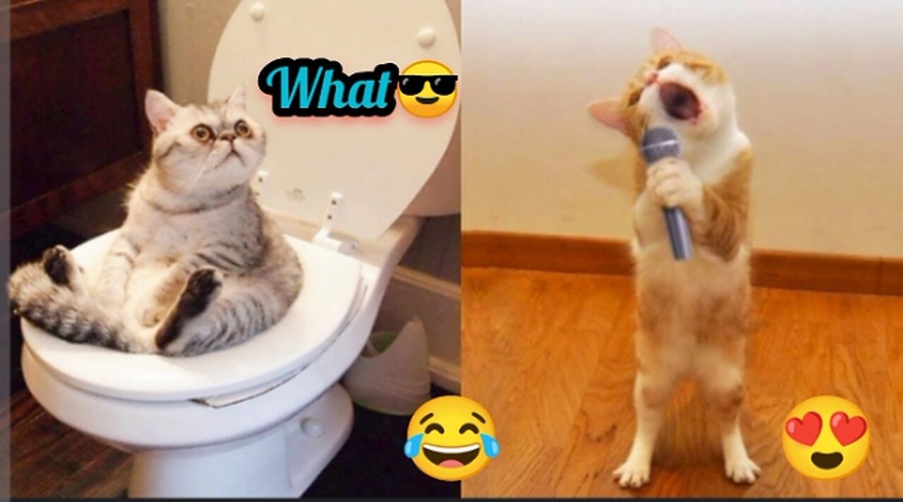 Funny Animal Videos 2023 😂 - Funniest Cats And Dogs Video🥰😂