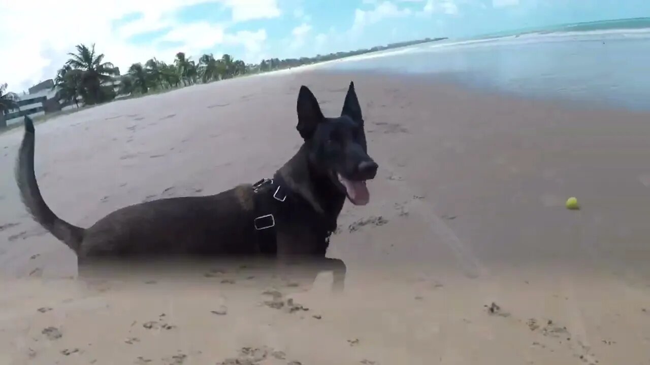 LARI 'in memo' & ß Ø ¥ Å na PRAIA