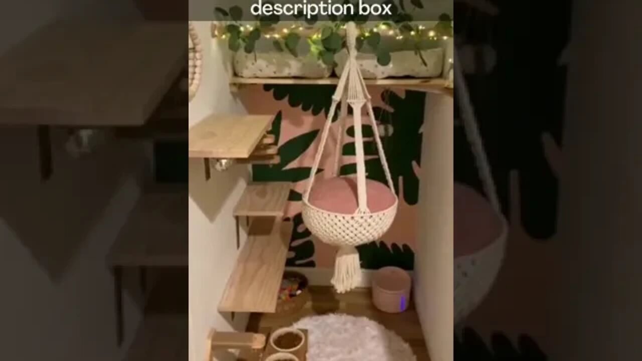 Amazon Must Haves TIK TOK : Cat Swing , #shorts