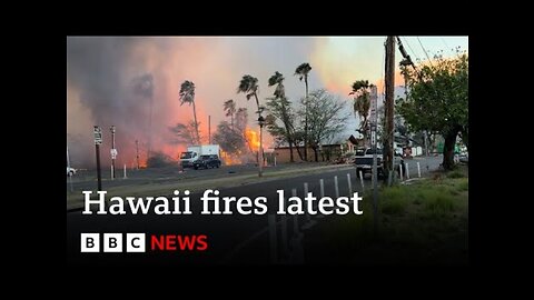 At least 36 dead as Hawaii fires devastate island of Maui – BBC News