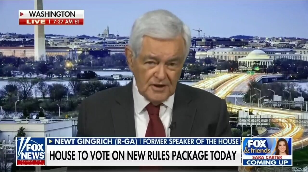 Newt Gingrich Reveals Hakeem Jeffries Big Problem