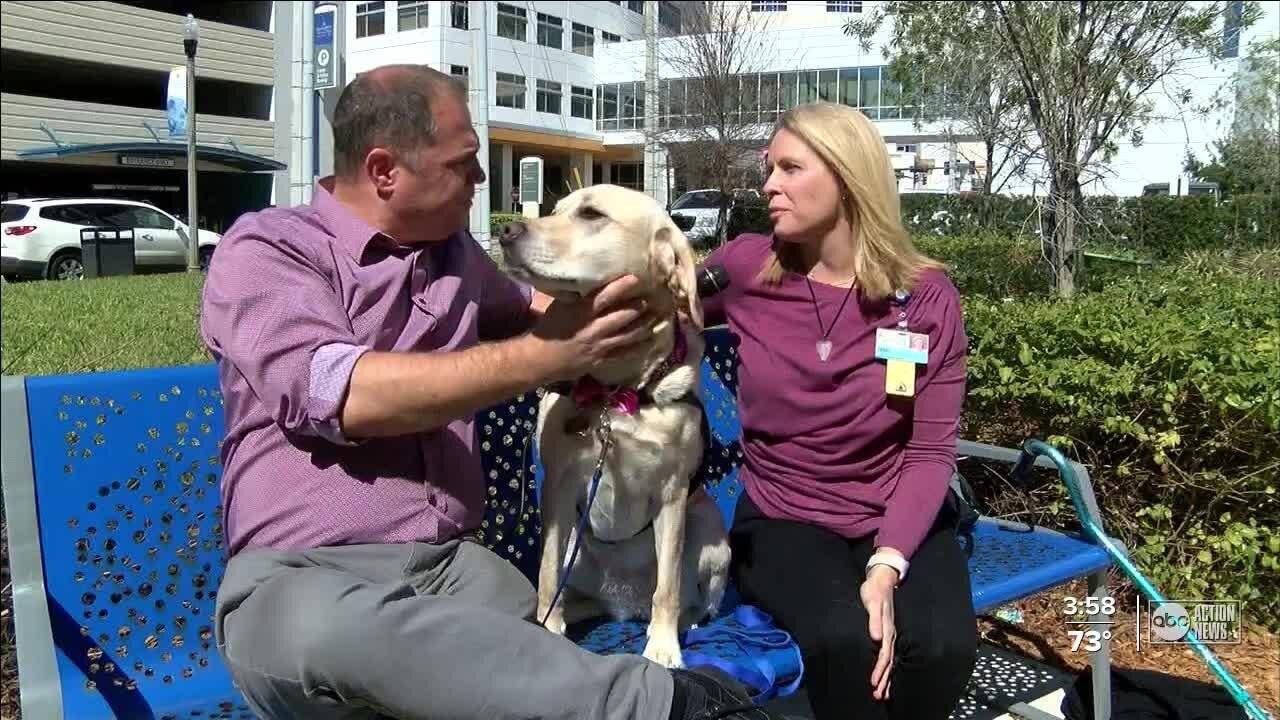 Facility dog reaches 1-year anniversary of bringing smiles to hospitalized kids at Johns Hopkins