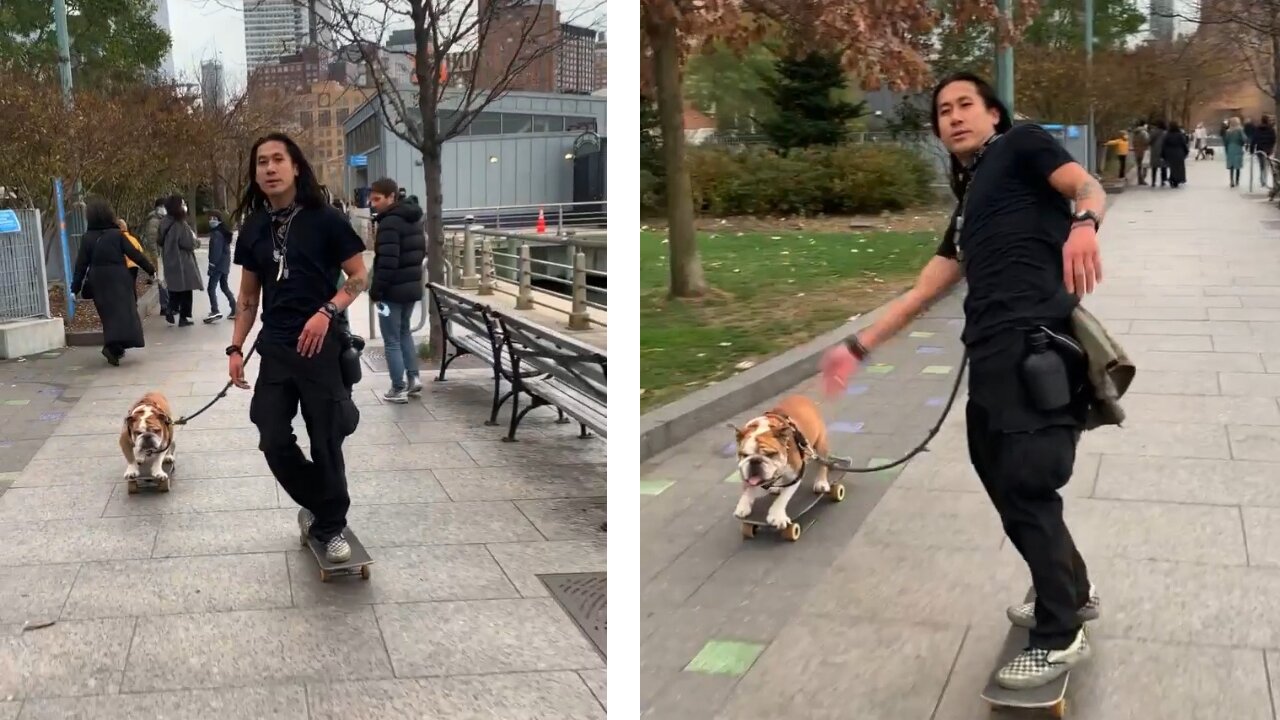 Heading into 2022 like… 🐶✨🎉