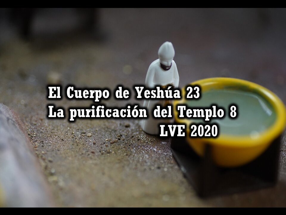 El Cuerpo de Yeshúa 23 - La purificación del Templo 8