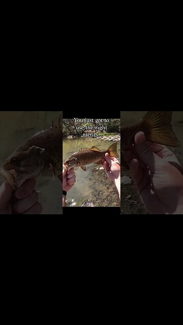 How to find smallmouth in the creeks.