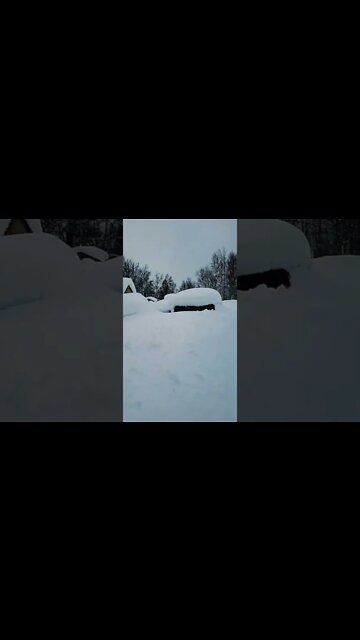 I Hear Geese Flying Overhead