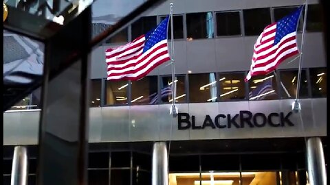 BLACKROCK IS THE BIGGEST LIE EVER TOLD WHITNEY WEBB'S MOST SHOCKING 2024 PREDICTION 🔥