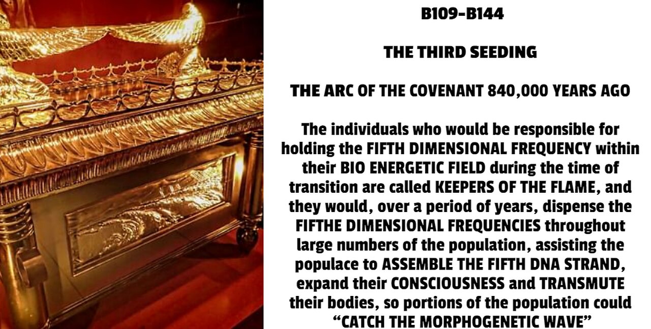 The individuals who would be responsible for holding the FIFTH DIMENSIONAL FREQUENCY within their BI