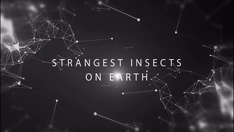 You never heard about these Insects On Earth..