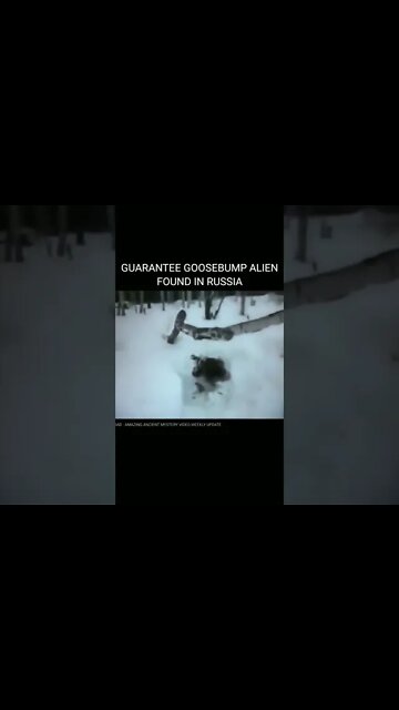 'Dead Alien' Video on YouTube Goes Viral