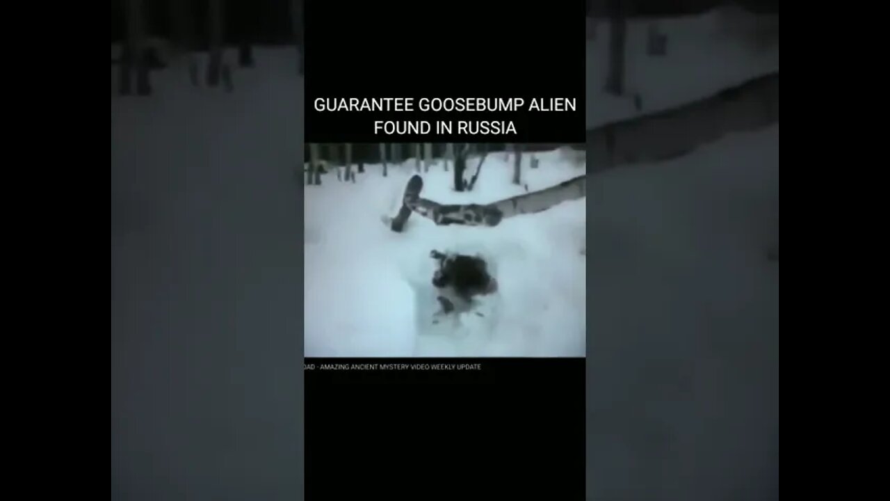 'Dead Alien' Video on YouTube Goes Viral