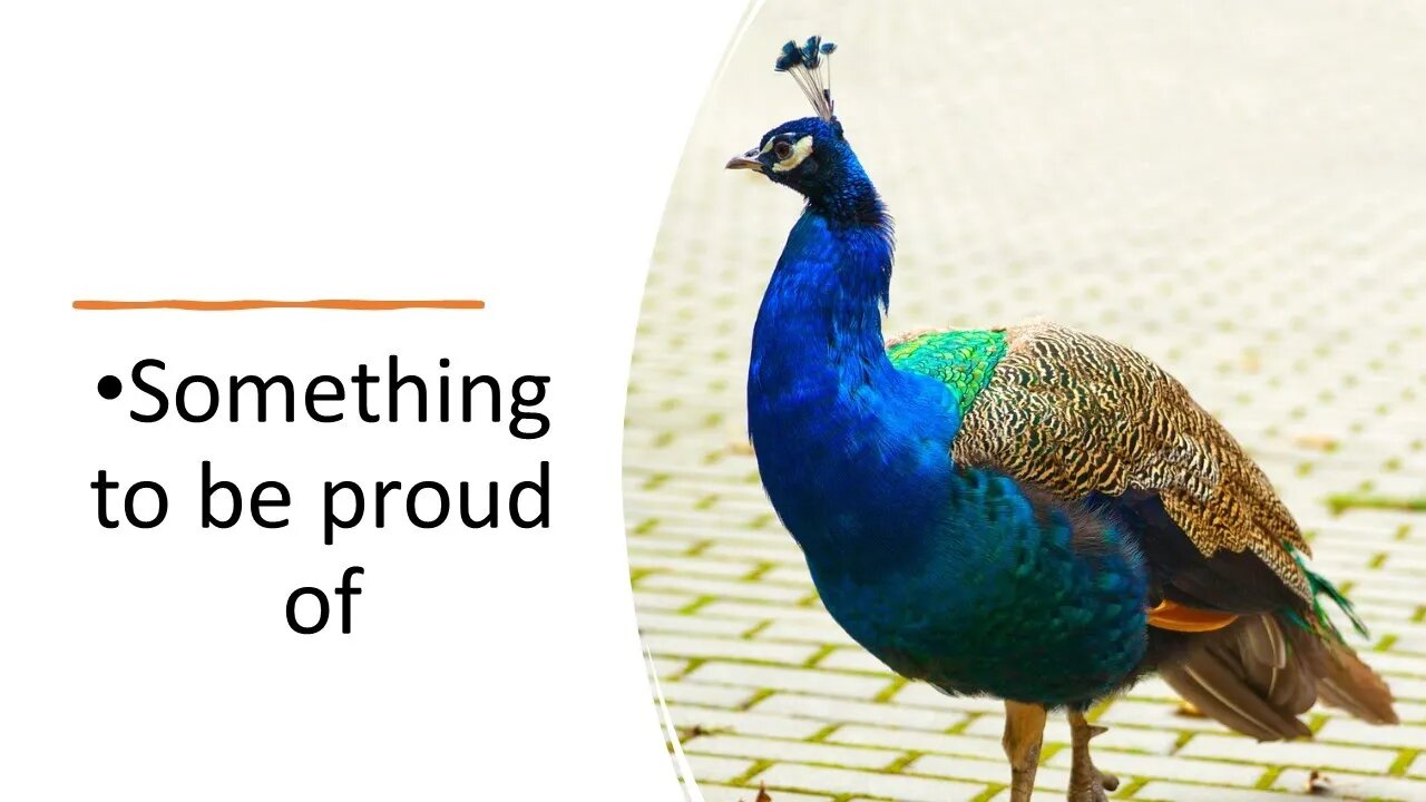 Sunday PM: Something to be Proud of