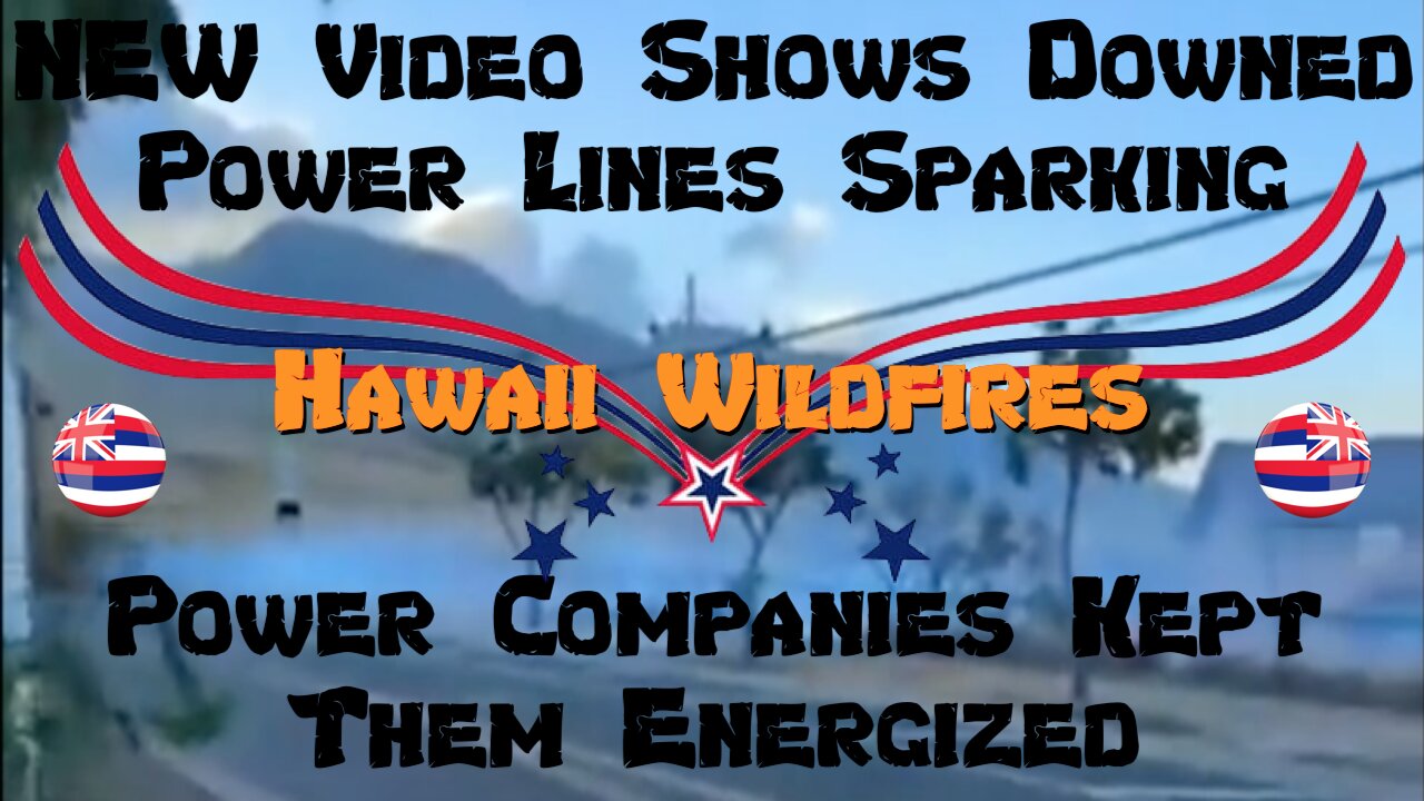 NEW: Video Shows Downed Power Lines Sparking Hawaii Wildfires - Power Companies Kept Them Energized!