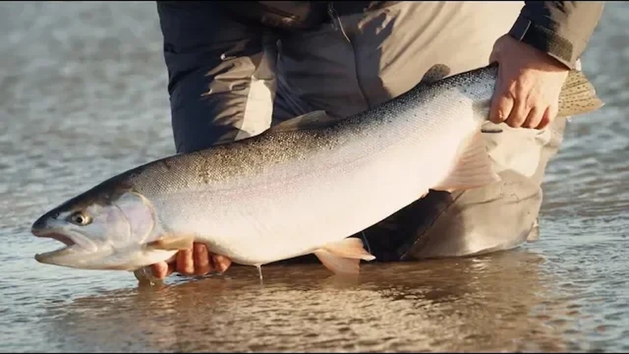 Swing Season - Patagonian Steel - Sage Fly Fishing