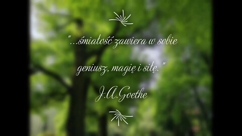 Aforyzm J.A.Goethe