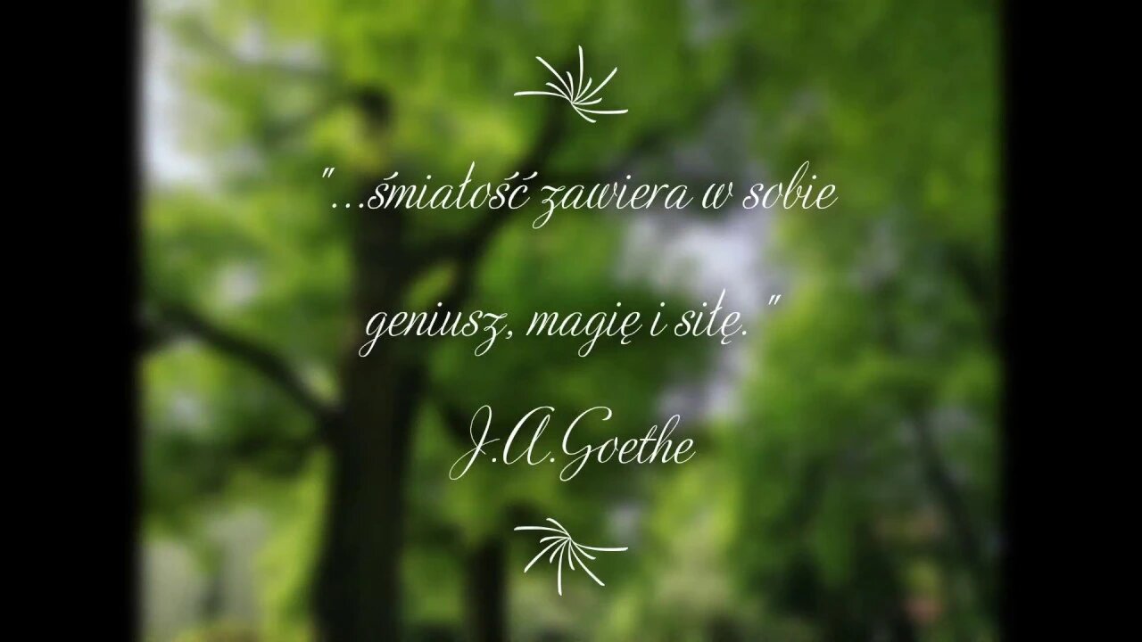 Aforyzm J.A.Goethe